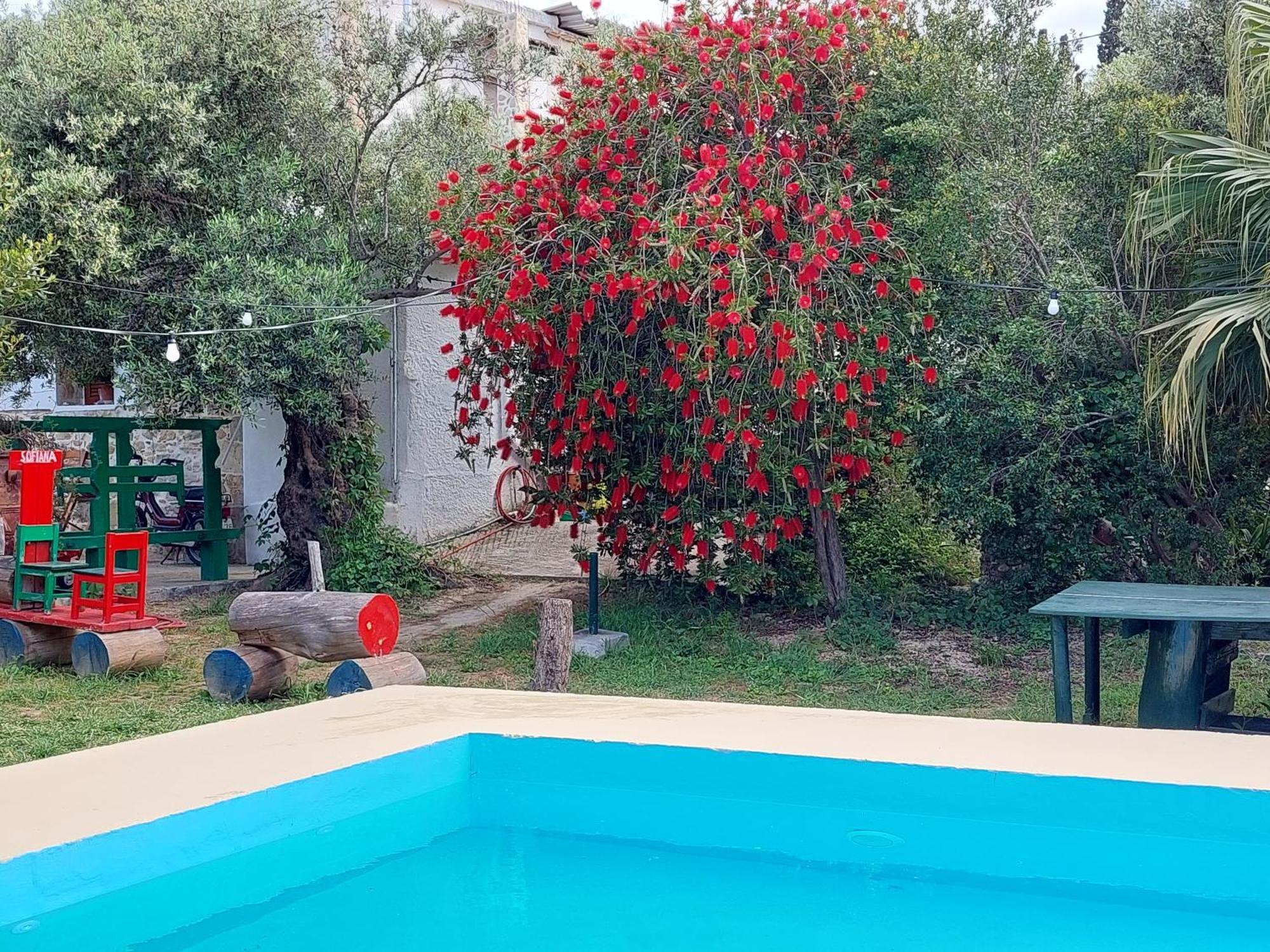 شقة Sofiana'S Garden Retreat With Private Pool Dhrapaniás الغرفة الصورة